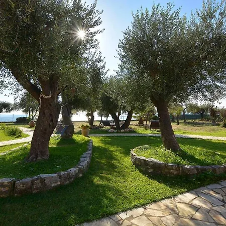 Lägenhet Renata & - Beachfront, Large Garden & Free Parking Barbati